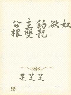 公主的欲奴h四根双龙