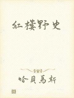红楼野史