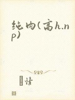 纯肉(高h.np)