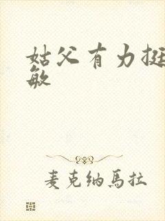 姑父有力挺送赵敏