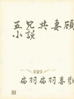 五兄共妻顾心儿小说