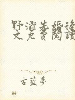 野涩先婚后爱全文免费阅读笔趣阁