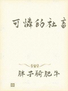 可怜的社畜分手