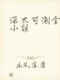 深不可测金银花小说