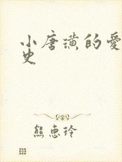 小唐璜的爱情历史