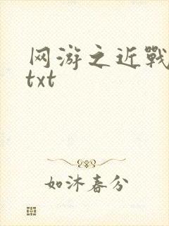网游之近战法师txt