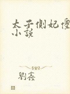 太子侧妃傻乎乎小说