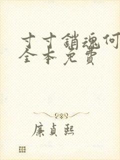 寸寸销魂何生祥全本免费