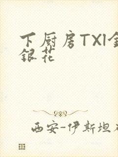 下厨房TXl金银花