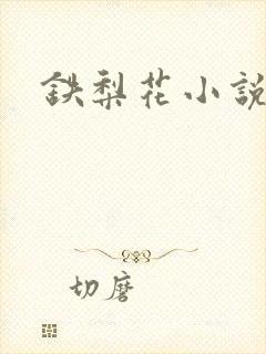 铁梨花小说