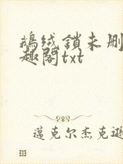 鹅绒锁未删除笔趣阁txt