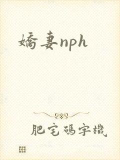 娇妻nph