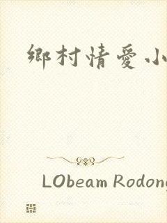 乡村情爱小说