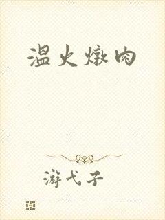 温火炖肉