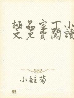 极品家丁小说全文免费阅读