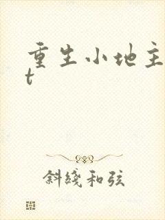重生小地主txt