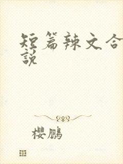 短篇辣文合集小说