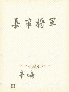 长宁将军