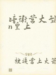 暗卫营大型hpn皇上