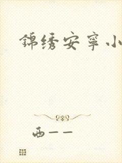 锦绣安宁小说