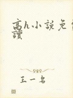 高h小说免费阅读