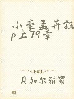小豪孟卉钰慧三p上79章