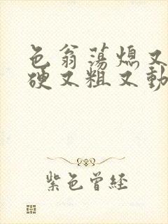 色翁荡熄又大又硬又粗又动态图