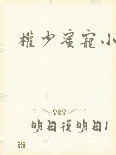 权少蜜宠小娇妻