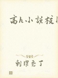 高h小说校园