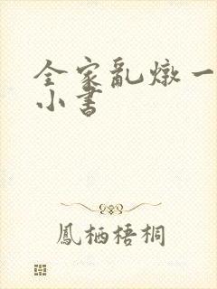 全家乱炖一锅烩小书