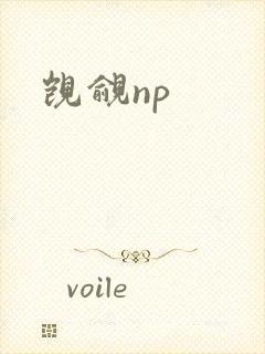 觊觎np