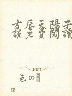 方辰天阳子的小说免费阅读