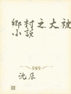 乡村之大被同眠小说