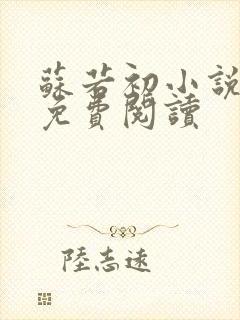 苏若初小说全文免费阅读