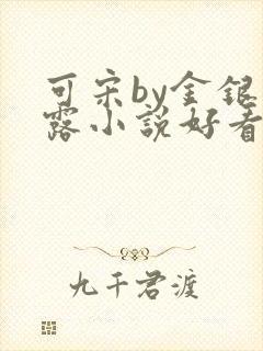 可宋by金银花露小说好看吗