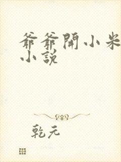 爷爷开小米的包小说