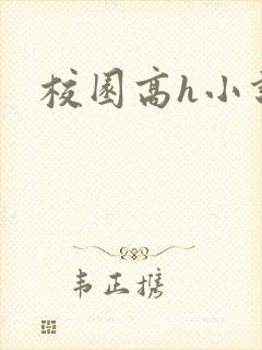 校园高h小说