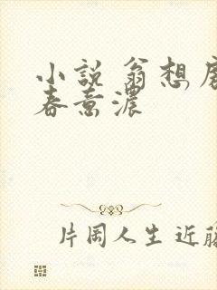 小说 翁想房中春意浓