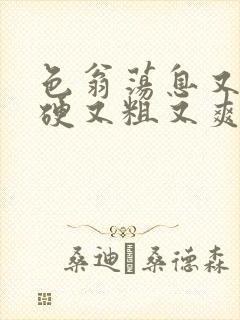 色翁荡息又大又硬又粗又爽