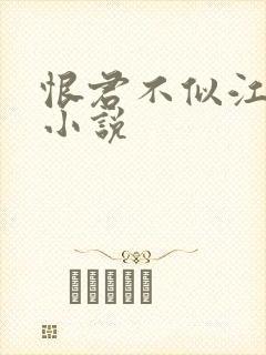 恨君不似江楼月小说