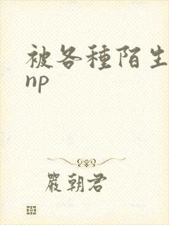 被各种陌生人 np