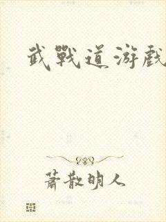 武战道游戏
