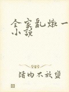 全家乱炖一锅烩小说