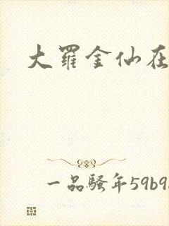大罗金仙在都市