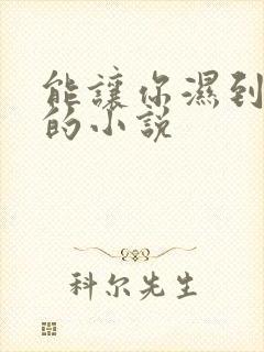 能让你湿到不行的小说