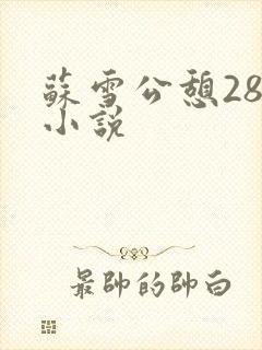 苏雪公憩28篇小说