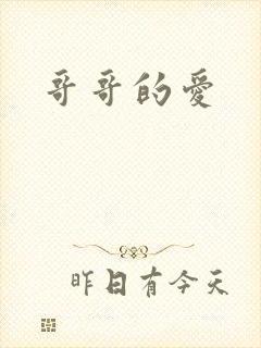 哥哥的爱