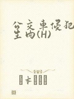 公交车侵犯小男生肉(H)