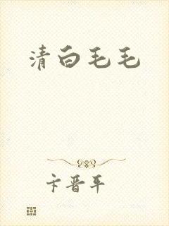 清白毛毛