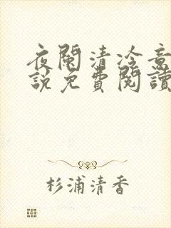 夜阑清冷意欢小说免费阅读